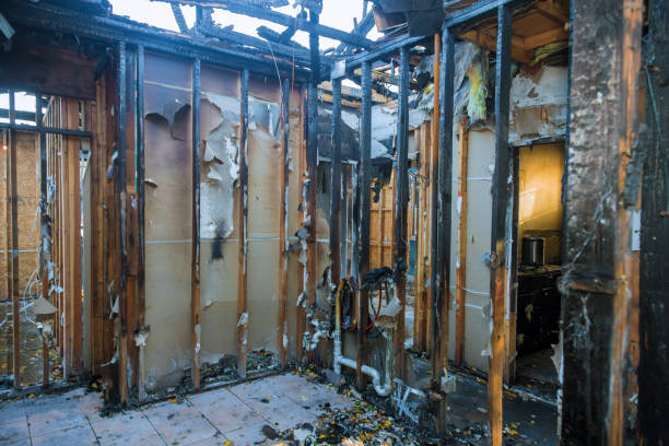Professional Fire Damage Removal technician working in South Alamo, TX
